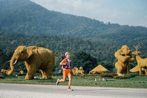 BIB: 
                            <button type="button" onclick="openModal(25870394)" class="btn btn-primary btn-sm float-right btn-popup" data-toggle="modal" data-target=".modal-high-quality">
                        <i class="fas fa-shopping-cart"></i> Add to Cart
                    </button>
                                            <button type="button" onclick="isThisMe(25870394, true)" class="btn btn-success btn-sm float-right btn-popup btn-isme hidden" data-toggle="tooltip" data-placement="bottom" title="นี่คือรูปของคุณใช่ไหม คลิกที่นี่เพื่อเอาเข้าอัลบั้ม">
                        <i class="fas fa-plus"></i> Add to album
                    </button>
                    <button type="button" onclick="isThisMe(25870394, false)" class="btn btn-warning btn-sm float-right btn-popup btn-isnotme hidden">
                        <i class="fas fa-ban"></i> Remove from album
                    </button>