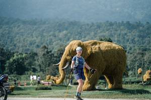 BIB: 
                            <button type="button" onclick="openModal(25929159)" class="btn btn-primary btn-sm float-right btn-popup" data-toggle="modal" data-target=".modal-high-quality">
                        <i class="fas fa-shopping-cart"></i> Add to Cart
                    </button>
                                            <button type="button" onclick="isThisMe(25929159, true)" class="btn btn-success btn-sm float-right btn-popup btn-isme hidden" data-toggle="tooltip" data-placement="bottom" title="นี่คือรูปของคุณใช่ไหม คลิกที่นี่เพื่อเอาเข้าอัลบั้ม">
                        <i class="fas fa-plus"></i> Add to album
                    </button>
                    <button type="button" onclick="isThisMe(25929159, false)" class="btn btn-warning btn-sm float-right btn-popup btn-isnotme hidden">
                        <i class="fas fa-ban"></i> Remove from album
                    </button>