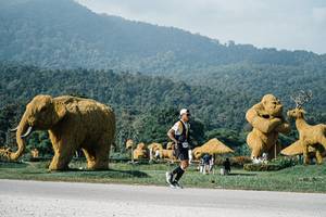 BIB: 
                            <button type="button" onclick="openModal(25875611)" class="btn btn-primary btn-sm float-right btn-popup" data-toggle="modal" data-target=".modal-high-quality">
                        <i class="fas fa-shopping-cart"></i> Add to Cart
                    </button>
                                            <button type="button" onclick="isThisMe(25875611, true)" class="btn btn-success btn-sm float-right btn-popup btn-isme hidden" data-toggle="tooltip" data-placement="bottom" title="นี่คือรูปของคุณใช่ไหม คลิกที่นี่เพื่อเอาเข้าอัลบั้ม">
                        <i class="fas fa-plus"></i> Add to album
                    </button>
                    <button type="button" onclick="isThisMe(25875611, false)" class="btn btn-warning btn-sm float-right btn-popup btn-isnotme hidden">
                        <i class="fas fa-ban"></i> Remove from album
                    </button>