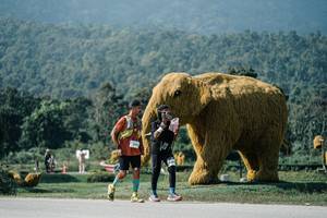 BIB: 
                            <button type="button" onclick="openModal(25915999)" class="btn btn-primary btn-sm float-right btn-popup" data-toggle="modal" data-target=".modal-high-quality">
                        <i class="fas fa-shopping-cart"></i> Add to Cart
                    </button>
                                            <button type="button" onclick="isThisMe(25915999, true)" class="btn btn-success btn-sm float-right btn-popup btn-isme hidden" data-toggle="tooltip" data-placement="bottom" title="นี่คือรูปของคุณใช่ไหม คลิกที่นี่เพื่อเอาเข้าอัลบั้ม">
                        <i class="fas fa-plus"></i> Add to album
                    </button>
                    <button type="button" onclick="isThisMe(25915999, false)" class="btn btn-warning btn-sm float-right btn-popup btn-isnotme hidden">
                        <i class="fas fa-ban"></i> Remove from album
                    </button>