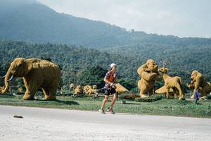 BIB: 
                            <button type="button" onclick="openModal(25907214)" class="btn btn-primary btn-sm float-right btn-popup" data-toggle="modal" data-target=".modal-high-quality">
                        <i class="fas fa-shopping-cart"></i> Add to Cart
                    </button>
                                            <button type="button" onclick="isThisMe(25907214, true)" class="btn btn-success btn-sm float-right btn-popup btn-isme hidden" data-toggle="tooltip" data-placement="bottom" title="นี่คือรูปของคุณใช่ไหม คลิกที่นี่เพื่อเอาเข้าอัลบั้ม">
                        <i class="fas fa-plus"></i> Add to album
                    </button>
                    <button type="button" onclick="isThisMe(25907214, false)" class="btn btn-warning btn-sm float-right btn-popup btn-isnotme hidden">
                        <i class="fas fa-ban"></i> Remove from album
                    </button>