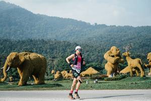 BIB: 
                            <button type="button" onclick="openModal(25872192)" class="btn btn-primary btn-sm float-right btn-popup" data-toggle="modal" data-target=".modal-high-quality">
                        <i class="fas fa-shopping-cart"></i> Add to Cart
                    </button>
                                            <button type="button" onclick="isThisMe(25872192, true)" class="btn btn-success btn-sm float-right btn-popup btn-isme hidden" data-toggle="tooltip" data-placement="bottom" title="นี่คือรูปของคุณใช่ไหม คลิกที่นี่เพื่อเอาเข้าอัลบั้ม">
                        <i class="fas fa-plus"></i> Add to album
                    </button>
                    <button type="button" onclick="isThisMe(25872192, false)" class="btn btn-warning btn-sm float-right btn-popup btn-isnotme hidden">
                        <i class="fas fa-ban"></i> Remove from album
                    </button>