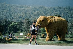 BIB: 
                            <button type="button" onclick="openModal(25924090)" class="btn btn-primary btn-sm float-right btn-popup" data-toggle="modal" data-target=".modal-high-quality">
                        <i class="fas fa-shopping-cart"></i> Add to Cart
                    </button>
                                            <button type="button" onclick="isThisMe(25924090, true)" class="btn btn-success btn-sm float-right btn-popup btn-isme hidden" data-toggle="tooltip" data-placement="bottom" title="นี่คือรูปของคุณใช่ไหม คลิกที่นี่เพื่อเอาเข้าอัลบั้ม">
                        <i class="fas fa-plus"></i> Add to album
                    </button>
                    <button type="button" onclick="isThisMe(25924090, false)" class="btn btn-warning btn-sm float-right btn-popup btn-isnotme hidden">
                        <i class="fas fa-ban"></i> Remove from album
                    </button>