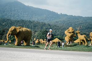 BIB: 
                            <button type="button" onclick="openModal(25874735)" class="btn btn-primary btn-sm float-right btn-popup" data-toggle="modal" data-target=".modal-high-quality">
                        <i class="fas fa-shopping-cart"></i> Add to Cart
                    </button>
                                            <button type="button" onclick="isThisMe(25874735, true)" class="btn btn-success btn-sm float-right btn-popup btn-isme hidden" data-toggle="tooltip" data-placement="bottom" title="นี่คือรูปของคุณใช่ไหม คลิกที่นี่เพื่อเอาเข้าอัลบั้ม">
                        <i class="fas fa-plus"></i> Add to album
                    </button>
                    <button type="button" onclick="isThisMe(25874735, false)" class="btn btn-warning btn-sm float-right btn-popup btn-isnotme hidden">
                        <i class="fas fa-ban"></i> Remove from album
                    </button>