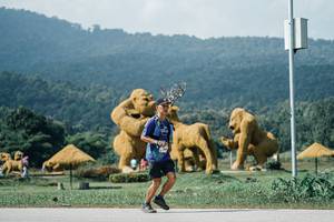 BIB: 
                            <button type="button" onclick="openModal(25941520)" class="btn btn-primary btn-sm float-right btn-popup" data-toggle="modal" data-target=".modal-high-quality">
                        <i class="fas fa-shopping-cart"></i> Add to Cart
                    </button>
                                            <button type="button" onclick="isThisMe(25941520, true)" class="btn btn-success btn-sm float-right btn-popup btn-isme hidden" data-toggle="tooltip" data-placement="bottom" title="นี่คือรูปของคุณใช่ไหม คลิกที่นี่เพื่อเอาเข้าอัลบั้ม">
                        <i class="fas fa-plus"></i> Add to album
                    </button>
                    <button type="button" onclick="isThisMe(25941520, false)" class="btn btn-warning btn-sm float-right btn-popup btn-isnotme hidden">
                        <i class="fas fa-ban"></i> Remove from album
                    </button>