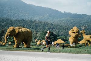 BIB: 
                            <button type="button" onclick="openModal(25875594)" class="btn btn-primary btn-sm float-right btn-popup" data-toggle="modal" data-target=".modal-high-quality">
                        <i class="fas fa-shopping-cart"></i> Add to Cart
                    </button>
                                            <button type="button" onclick="isThisMe(25875594, true)" class="btn btn-success btn-sm float-right btn-popup btn-isme hidden" data-toggle="tooltip" data-placement="bottom" title="นี่คือรูปของคุณใช่ไหม คลิกที่นี่เพื่อเอาเข้าอัลบั้ม">
                        <i class="fas fa-plus"></i> Add to album
                    </button>
                    <button type="button" onclick="isThisMe(25875594, false)" class="btn btn-warning btn-sm float-right btn-popup btn-isnotme hidden">
                        <i class="fas fa-ban"></i> Remove from album
                    </button>