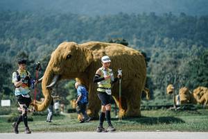 BIB: 
                            <button type="button" onclick="openModal(25940535)" class="btn btn-primary btn-sm float-right btn-popup" data-toggle="modal" data-target=".modal-high-quality">
                        <i class="fas fa-shopping-cart"></i> Add to Cart
                    </button>
                                            <button type="button" onclick="isThisMe(25940535, true)" class="btn btn-success btn-sm float-right btn-popup btn-isme hidden" data-toggle="tooltip" data-placement="bottom" title="นี่คือรูปของคุณใช่ไหม คลิกที่นี่เพื่อเอาเข้าอัลบั้ม">
                        <i class="fas fa-plus"></i> Add to album
                    </button>
                    <button type="button" onclick="isThisMe(25940535, false)" class="btn btn-warning btn-sm float-right btn-popup btn-isnotme hidden">
                        <i class="fas fa-ban"></i> Remove from album
                    </button>