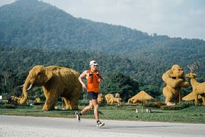 BIB: 
                            <button type="button" onclick="openModal(25870713)" class="btn btn-primary btn-sm float-right btn-popup" data-toggle="modal" data-target=".modal-high-quality">
                        <i class="fas fa-shopping-cart"></i> Add to Cart
                    </button>
                                            <button type="button" onclick="isThisMe(25870713, true)" class="btn btn-success btn-sm float-right btn-popup btn-isme hidden" data-toggle="tooltip" data-placement="bottom" title="นี่คือรูปของคุณใช่ไหม คลิกที่นี่เพื่อเอาเข้าอัลบั้ม">
                        <i class="fas fa-plus"></i> Add to album
                    </button>
                    <button type="button" onclick="isThisMe(25870713, false)" class="btn btn-warning btn-sm float-right btn-popup btn-isnotme hidden">
                        <i class="fas fa-ban"></i> Remove from album
                    </button>