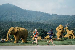 BIB: 
                            <button type="button" onclick="openModal(25871076)" class="btn btn-primary btn-sm float-right btn-popup" data-toggle="modal" data-target=".modal-high-quality">
                        <i class="fas fa-shopping-cart"></i> Add to Cart
                    </button>
                                            <button type="button" onclick="isThisMe(25871076, true)" class="btn btn-success btn-sm float-right btn-popup btn-isme hidden" data-toggle="tooltip" data-placement="bottom" title="นี่คือรูปของคุณใช่ไหม คลิกที่นี่เพื่อเอาเข้าอัลบั้ม">
                        <i class="fas fa-plus"></i> Add to album
                    </button>
                    <button type="button" onclick="isThisMe(25871076, false)" class="btn btn-warning btn-sm float-right btn-popup btn-isnotme hidden">
                        <i class="fas fa-ban"></i> Remove from album
                    </button>