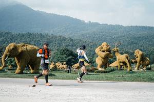 BIB: 
                            <button type="button" onclick="openModal(25898451)" class="btn btn-primary btn-sm float-right btn-popup" data-toggle="modal" data-target=".modal-high-quality">
                        <i class="fas fa-shopping-cart"></i> Add to Cart
                    </button>
                                            <button type="button" onclick="isThisMe(25898451, true)" class="btn btn-success btn-sm float-right btn-popup btn-isme hidden" data-toggle="tooltip" data-placement="bottom" title="นี่คือรูปของคุณใช่ไหม คลิกที่นี่เพื่อเอาเข้าอัลบั้ม">
                        <i class="fas fa-plus"></i> Add to album
                    </button>
                    <button type="button" onclick="isThisMe(25898451, false)" class="btn btn-warning btn-sm float-right btn-popup btn-isnotme hidden">
                        <i class="fas fa-ban"></i> Remove from album
                    </button>