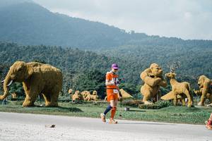 BIB: 
                            <button type="button" onclick="openModal(25899647)" class="btn btn-primary btn-sm float-right btn-popup" data-toggle="modal" data-target=".modal-high-quality">
                        <i class="fas fa-shopping-cart"></i> Add to Cart
                    </button>
                                            <button type="button" onclick="isThisMe(25899647, true)" class="btn btn-success btn-sm float-right btn-popup btn-isme hidden" data-toggle="tooltip" data-placement="bottom" title="นี่คือรูปของคุณใช่ไหม คลิกที่นี่เพื่อเอาเข้าอัลบั้ม">
                        <i class="fas fa-plus"></i> Add to album
                    </button>
                    <button type="button" onclick="isThisMe(25899647, false)" class="btn btn-warning btn-sm float-right btn-popup btn-isnotme hidden">
                        <i class="fas fa-ban"></i> Remove from album
                    </button>