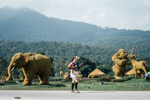 BIB: 
                            <button type="button" onclick="openModal(25904964)" class="btn btn-primary btn-sm float-right btn-popup" data-toggle="modal" data-target=".modal-high-quality">
                        <i class="fas fa-shopping-cart"></i> Add to Cart
                    </button>
                                            <button type="button" onclick="isThisMe(25904964, true)" class="btn btn-success btn-sm float-right btn-popup btn-isme hidden" data-toggle="tooltip" data-placement="bottom" title="นี่คือรูปของคุณใช่ไหม คลิกที่นี่เพื่อเอาเข้าอัลบั้ม">
                        <i class="fas fa-plus"></i> Add to album
                    </button>
                    <button type="button" onclick="isThisMe(25904964, false)" class="btn btn-warning btn-sm float-right btn-popup btn-isnotme hidden">
                        <i class="fas fa-ban"></i> Remove from album
                    </button>