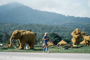 BIB: 
                            <button type="button" onclick="openModal(25931092)" class="btn btn-primary btn-sm float-right btn-popup" data-toggle="modal" data-target=".modal-high-quality">
                        <i class="fas fa-shopping-cart"></i> Add to Cart
                    </button>
                                            <button type="button" onclick="isThisMe(25931092, true)" class="btn btn-success btn-sm float-right btn-popup btn-isme hidden" data-toggle="tooltip" data-placement="bottom" title="นี่คือรูปของคุณใช่ไหม คลิกที่นี่เพื่อเอาเข้าอัลบั้ม">
                        <i class="fas fa-plus"></i> Add to album
                    </button>
                    <button type="button" onclick="isThisMe(25931092, false)" class="btn btn-warning btn-sm float-right btn-popup btn-isnotme hidden">
                        <i class="fas fa-ban"></i> Remove from album
                    </button>