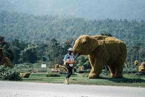 BIB: 
                            <button type="button" onclick="openModal(25981624)" class="btn btn-primary btn-sm float-right btn-popup" data-toggle="modal" data-target=".modal-high-quality">
                        <i class="fas fa-shopping-cart"></i> Add to Cart
                    </button>
                                            <button type="button" onclick="isThisMe(25981624, true)" class="btn btn-success btn-sm float-right btn-popup btn-isme hidden" data-toggle="tooltip" data-placement="bottom" title="นี่คือรูปของคุณใช่ไหม คลิกที่นี่เพื่อเอาเข้าอัลบั้ม">
                        <i class="fas fa-plus"></i> Add to album
                    </button>
                    <button type="button" onclick="isThisMe(25981624, false)" class="btn btn-warning btn-sm float-right btn-popup btn-isnotme hidden">
                        <i class="fas fa-ban"></i> Remove from album
                    </button>