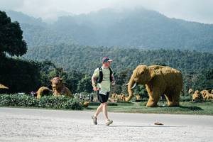 BIB: 
                            <button type="button" onclick="openModal(25901677)" class="btn btn-primary btn-sm float-right btn-popup" data-toggle="modal" data-target=".modal-high-quality">
                        <i class="fas fa-shopping-cart"></i> Add to Cart
                    </button>
                                            <button type="button" onclick="isThisMe(25901677, true)" class="btn btn-success btn-sm float-right btn-popup btn-isme hidden" data-toggle="tooltip" data-placement="bottom" title="นี่คือรูปของคุณใช่ไหม คลิกที่นี่เพื่อเอาเข้าอัลบั้ม">
                        <i class="fas fa-plus"></i> Add to album
                    </button>
                    <button type="button" onclick="isThisMe(25901677, false)" class="btn btn-warning btn-sm float-right btn-popup btn-isnotme hidden">
                        <i class="fas fa-ban"></i> Remove from album
                    </button>