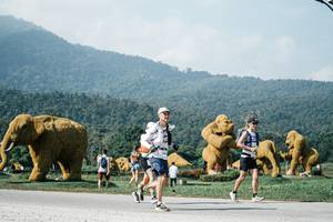 BIB: 
                            <button type="button" onclick="openModal(25884403)" class="btn btn-primary btn-sm float-right btn-popup" data-toggle="modal" data-target=".modal-high-quality">
                        <i class="fas fa-shopping-cart"></i> Add to Cart
                    </button>
                                            <button type="button" onclick="isThisMe(25884403, true)" class="btn btn-success btn-sm float-right btn-popup btn-isme hidden" data-toggle="tooltip" data-placement="bottom" title="นี่คือรูปของคุณใช่ไหม คลิกที่นี่เพื่อเอาเข้าอัลบั้ม">
                        <i class="fas fa-plus"></i> Add to album
                    </button>
                    <button type="button" onclick="isThisMe(25884403, false)" class="btn btn-warning btn-sm float-right btn-popup btn-isnotme hidden">
                        <i class="fas fa-ban"></i> Remove from album
                    </button>