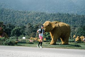 BIB: 
                            <button type="button" onclick="openModal(25886896)" class="btn btn-primary btn-sm float-right btn-popup" data-toggle="modal" data-target=".modal-high-quality">
                        <i class="fas fa-shopping-cart"></i> Add to Cart
                    </button>
                                            <button type="button" onclick="isThisMe(25886896, true)" class="btn btn-success btn-sm float-right btn-popup btn-isme hidden" data-toggle="tooltip" data-placement="bottom" title="นี่คือรูปของคุณใช่ไหม คลิกที่นี่เพื่อเอาเข้าอัลบั้ม">
                        <i class="fas fa-plus"></i> Add to album
                    </button>
                    <button type="button" onclick="isThisMe(25886896, false)" class="btn btn-warning btn-sm float-right btn-popup btn-isnotme hidden">
                        <i class="fas fa-ban"></i> Remove from album
                    </button>