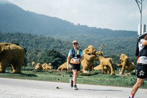 BIB: 
                            <button type="button" onclick="openModal(25913776)" class="btn btn-primary btn-sm float-right btn-popup" data-toggle="modal" data-target=".modal-high-quality">
                        <i class="fas fa-shopping-cart"></i> Add to Cart
                    </button>
                                            <button type="button" onclick="isThisMe(25913776, true)" class="btn btn-success btn-sm float-right btn-popup btn-isme hidden" data-toggle="tooltip" data-placement="bottom" title="นี่คือรูปของคุณใช่ไหม คลิกที่นี่เพื่อเอาเข้าอัลบั้ม">
                        <i class="fas fa-plus"></i> Add to album
                    </button>
                    <button type="button" onclick="isThisMe(25913776, false)" class="btn btn-warning btn-sm float-right btn-popup btn-isnotme hidden">
                        <i class="fas fa-ban"></i> Remove from album
                    </button>