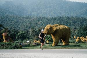 BIB: 
                            <button type="button" onclick="openModal(25872312)" class="btn btn-primary btn-sm float-right btn-popup" data-toggle="modal" data-target=".modal-high-quality">
                        <i class="fas fa-shopping-cart"></i> Add to Cart
                    </button>
                                            <button type="button" onclick="isThisMe(25872312, true)" class="btn btn-success btn-sm float-right btn-popup btn-isme hidden" data-toggle="tooltip" data-placement="bottom" title="นี่คือรูปของคุณใช่ไหม คลิกที่นี่เพื่อเอาเข้าอัลบั้ม">
                        <i class="fas fa-plus"></i> Add to album
                    </button>
                    <button type="button" onclick="isThisMe(25872312, false)" class="btn btn-warning btn-sm float-right btn-popup btn-isnotme hidden">
                        <i class="fas fa-ban"></i> Remove from album
                    </button>