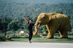 BIB: 
                            <button type="button" onclick="openModal(25912085)" class="btn btn-primary btn-sm float-right btn-popup" data-toggle="modal" data-target=".modal-high-quality">
                        <i class="fas fa-shopping-cart"></i> Add to Cart
                    </button>
                                            <button type="button" onclick="isThisMe(25912085, true)" class="btn btn-success btn-sm float-right btn-popup btn-isme hidden" data-toggle="tooltip" data-placement="bottom" title="นี่คือรูปของคุณใช่ไหม คลิกที่นี่เพื่อเอาเข้าอัลบั้ม">
                        <i class="fas fa-plus"></i> Add to album
                    </button>
                    <button type="button" onclick="isThisMe(25912085, false)" class="btn btn-warning btn-sm float-right btn-popup btn-isnotme hidden">
                        <i class="fas fa-ban"></i> Remove from album
                    </button>