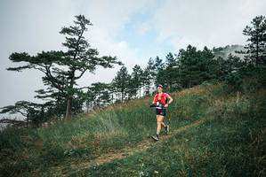 BIB: 
                            <button type="button" onclick="openModal(25337226)" class="btn btn-primary btn-sm float-right btn-popup" data-toggle="modal" data-target=".modal-high-quality">
                        <i class="fas fa-shopping-cart"></i> Add to Cart
                    </button>
                                            <button type="button" onclick="isThisMe(25337226, true)" class="btn btn-success btn-sm float-right btn-popup btn-isme hidden" data-toggle="tooltip" data-placement="bottom" title="นี่คือรูปของคุณใช่ไหม คลิกที่นี่เพื่อเอาเข้าอัลบั้ม">
                        <i class="fas fa-plus"></i> Add to album
                    </button>
                    <button type="button" onclick="isThisMe(25337226, false)" class="btn btn-warning btn-sm float-right btn-popup btn-isnotme hidden">
                        <i class="fas fa-ban"></i> Remove from album
                    </button>