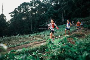 BIB: 
                            <button type="button" onclick="openModal(25367507)" class="btn btn-primary btn-sm float-right btn-popup" data-toggle="modal" data-target=".modal-high-quality">
                        <i class="fas fa-shopping-cart"></i> Add to Cart
                    </button>
                                            <button type="button" onclick="isThisMe(25367507, true)" class="btn btn-success btn-sm float-right btn-popup btn-isme hidden" data-toggle="tooltip" data-placement="bottom" title="นี่คือรูปของคุณใช่ไหม คลิกที่นี่เพื่อเอาเข้าอัลบั้ม">
                        <i class="fas fa-plus"></i> Add to album
                    </button>
                    <button type="button" onclick="isThisMe(25367507, false)" class="btn btn-warning btn-sm float-right btn-popup btn-isnotme hidden">
                        <i class="fas fa-ban"></i> Remove from album
                    </button>