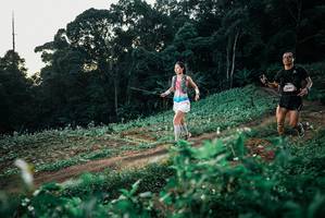 BIB: 
                            <button type="button" onclick="openModal(25366057)" class="btn btn-primary btn-sm float-right btn-popup" data-toggle="modal" data-target=".modal-high-quality">
                        <i class="fas fa-shopping-cart"></i> Add to Cart
                    </button>
                                            <button type="button" onclick="isThisMe(25366057, true)" class="btn btn-success btn-sm float-right btn-popup btn-isme hidden" data-toggle="tooltip" data-placement="bottom" title="นี่คือรูปของคุณใช่ไหม คลิกที่นี่เพื่อเอาเข้าอัลบั้ม">
                        <i class="fas fa-plus"></i> Add to album
                    </button>
                    <button type="button" onclick="isThisMe(25366057, false)" class="btn btn-warning btn-sm float-right btn-popup btn-isnotme hidden">
                        <i class="fas fa-ban"></i> Remove from album
                    </button>