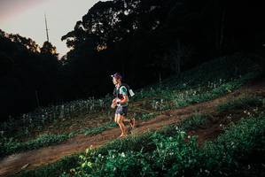 BIB: 
                            <button type="button" onclick="openModal(25364378)" class="btn btn-primary btn-sm float-right btn-popup" data-toggle="modal" data-target=".modal-high-quality">
                        <i class="fas fa-shopping-cart"></i> Add to Cart
                    </button>
                                            <button type="button" onclick="isThisMe(25364378, true)" class="btn btn-success btn-sm float-right btn-popup btn-isme hidden" data-toggle="tooltip" data-placement="bottom" title="นี่คือรูปของคุณใช่ไหม คลิกที่นี่เพื่อเอาเข้าอัลบั้ม">
                        <i class="fas fa-plus"></i> Add to album
                    </button>
                    <button type="button" onclick="isThisMe(25364378, false)" class="btn btn-warning btn-sm float-right btn-popup btn-isnotme hidden">
                        <i class="fas fa-ban"></i> Remove from album
                    </button>