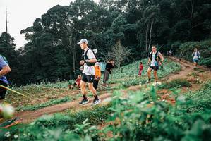 BIB: 
                            <button type="button" onclick="openModal(25415705)" class="btn btn-primary btn-sm float-right btn-popup" data-toggle="modal" data-target=".modal-high-quality">
                        <i class="fas fa-shopping-cart"></i> Add to Cart
                    </button>
                                            <button type="button" onclick="isThisMe(25415705, true)" class="btn btn-success btn-sm float-right btn-popup btn-isme hidden" data-toggle="tooltip" data-placement="bottom" title="นี่คือรูปของคุณใช่ไหม คลิกที่นี่เพื่อเอาเข้าอัลบั้ม">
                        <i class="fas fa-plus"></i> Add to album
                    </button>
                    <button type="button" onclick="isThisMe(25415705, false)" class="btn btn-warning btn-sm float-right btn-popup btn-isnotme hidden">
                        <i class="fas fa-ban"></i> Remove from album
                    </button>