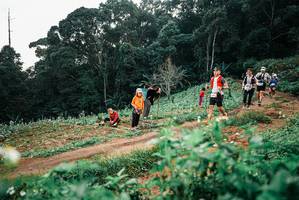 BIB: 
                            <button type="button" onclick="openModal(25415662)" class="btn btn-primary btn-sm float-right btn-popup" data-toggle="modal" data-target=".modal-high-quality">
                        <i class="fas fa-shopping-cart"></i> Add to Cart
                    </button>
                                            <button type="button" onclick="isThisMe(25415662, true)" class="btn btn-success btn-sm float-right btn-popup btn-isme hidden" data-toggle="tooltip" data-placement="bottom" title="นี่คือรูปของคุณใช่ไหม คลิกที่นี่เพื่อเอาเข้าอัลบั้ม">
                        <i class="fas fa-plus"></i> Add to album
                    </button>
                    <button type="button" onclick="isThisMe(25415662, false)" class="btn btn-warning btn-sm float-right btn-popup btn-isnotme hidden">
                        <i class="fas fa-ban"></i> Remove from album
                    </button>