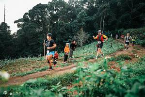 BIB: 
                            <button type="button" onclick="openModal(25415569)" class="btn btn-primary btn-sm float-right btn-popup" data-toggle="modal" data-target=".modal-high-quality">
                        <i class="fas fa-shopping-cart"></i> Add to Cart
                    </button>
                                            <button type="button" onclick="isThisMe(25415569, true)" class="btn btn-success btn-sm float-right btn-popup btn-isme hidden" data-toggle="tooltip" data-placement="bottom" title="นี่คือรูปของคุณใช่ไหม คลิกที่นี่เพื่อเอาเข้าอัลบั้ม">
                        <i class="fas fa-plus"></i> Add to album
                    </button>
                    <button type="button" onclick="isThisMe(25415569, false)" class="btn btn-warning btn-sm float-right btn-popup btn-isnotme hidden">
                        <i class="fas fa-ban"></i> Remove from album
                    </button>