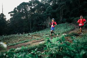 BIB: 
                            <button type="button" onclick="openModal(25367304)" class="btn btn-primary btn-sm float-right btn-popup" data-toggle="modal" data-target=".modal-high-quality">
                        <i class="fas fa-shopping-cart"></i> Add to Cart
                    </button>
                                            <button type="button" onclick="isThisMe(25367304, true)" class="btn btn-success btn-sm float-right btn-popup btn-isme hidden" data-toggle="tooltip" data-placement="bottom" title="นี่คือรูปของคุณใช่ไหม คลิกที่นี่เพื่อเอาเข้าอัลบั้ม">
                        <i class="fas fa-plus"></i> Add to album
                    </button>
                    <button type="button" onclick="isThisMe(25367304, false)" class="btn btn-warning btn-sm float-right btn-popup btn-isnotme hidden">
                        <i class="fas fa-ban"></i> Remove from album
                    </button>