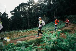 BIB: 
                            <button type="button" onclick="openModal(25426555)" class="btn btn-primary btn-sm float-right btn-popup" data-toggle="modal" data-target=".modal-high-quality">
                        <i class="fas fa-shopping-cart"></i> Add to Cart
                    </button>
                                            <button type="button" onclick="isThisMe(25426555, true)" class="btn btn-success btn-sm float-right btn-popup btn-isme hidden" data-toggle="tooltip" data-placement="bottom" title="นี่คือรูปของคุณใช่ไหม คลิกที่นี่เพื่อเอาเข้าอัลบั้ม">
                        <i class="fas fa-plus"></i> Add to album
                    </button>
                    <button type="button" onclick="isThisMe(25426555, false)" class="btn btn-warning btn-sm float-right btn-popup btn-isnotme hidden">
                        <i class="fas fa-ban"></i> Remove from album
                    </button>