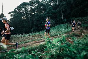 BIB: 
                            <button type="button" onclick="openModal(25367388)" class="btn btn-primary btn-sm float-right btn-popup" data-toggle="modal" data-target=".modal-high-quality">
                        <i class="fas fa-shopping-cart"></i> Add to Cart
                    </button>
                                            <button type="button" onclick="isThisMe(25367388, true)" class="btn btn-success btn-sm float-right btn-popup btn-isme hidden" data-toggle="tooltip" data-placement="bottom" title="นี่คือรูปของคุณใช่ไหม คลิกที่นี่เพื่อเอาเข้าอัลบั้ม">
                        <i class="fas fa-plus"></i> Add to album
                    </button>
                    <button type="button" onclick="isThisMe(25367388, false)" class="btn btn-warning btn-sm float-right btn-popup btn-isnotme hidden">
                        <i class="fas fa-ban"></i> Remove from album
                    </button>