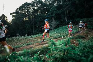 BIB: 
                            <button type="button" onclick="openModal(25366004)" class="btn btn-primary btn-sm float-right btn-popup" data-toggle="modal" data-target=".modal-high-quality">
                        <i class="fas fa-shopping-cart"></i> Add to Cart
                    </button>
                                            <button type="button" onclick="isThisMe(25366004, true)" class="btn btn-success btn-sm float-right btn-popup btn-isme hidden" data-toggle="tooltip" data-placement="bottom" title="นี่คือรูปของคุณใช่ไหม คลิกที่นี่เพื่อเอาเข้าอัลบั้ม">
                        <i class="fas fa-plus"></i> Add to album
                    </button>
                    <button type="button" onclick="isThisMe(25366004, false)" class="btn btn-warning btn-sm float-right btn-popup btn-isnotme hidden">
                        <i class="fas fa-ban"></i> Remove from album
                    </button>