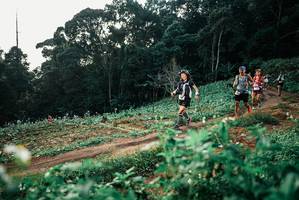 BIB: 
                            <button type="button" onclick="openModal(25368253)" class="btn btn-primary btn-sm float-right btn-popup" data-toggle="modal" data-target=".modal-high-quality">
                        <i class="fas fa-shopping-cart"></i> Add to Cart
                    </button>
                                            <button type="button" onclick="isThisMe(25368253, true)" class="btn btn-success btn-sm float-right btn-popup btn-isme hidden" data-toggle="tooltip" data-placement="bottom" title="นี่คือรูปของคุณใช่ไหม คลิกที่นี่เพื่อเอาเข้าอัลบั้ม">
                        <i class="fas fa-plus"></i> Add to album
                    </button>
                    <button type="button" onclick="isThisMe(25368253, false)" class="btn btn-warning btn-sm float-right btn-popup btn-isnotme hidden">
                        <i class="fas fa-ban"></i> Remove from album
                    </button>