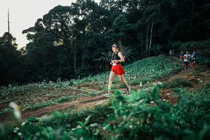 BIB: 
                            <button type="button" onclick="openModal(25365945)" class="btn btn-primary btn-sm float-right btn-popup" data-toggle="modal" data-target=".modal-high-quality">
                        <i class="fas fa-shopping-cart"></i> Add to Cart
                    </button>
                                            <button type="button" onclick="isThisMe(25365945, true)" class="btn btn-success btn-sm float-right btn-popup btn-isme hidden" data-toggle="tooltip" data-placement="bottom" title="นี่คือรูปของคุณใช่ไหม คลิกที่นี่เพื่อเอาเข้าอัลบั้ม">
                        <i class="fas fa-plus"></i> Add to album
                    </button>
                    <button type="button" onclick="isThisMe(25365945, false)" class="btn btn-warning btn-sm float-right btn-popup btn-isnotme hidden">
                        <i class="fas fa-ban"></i> Remove from album
                    </button>