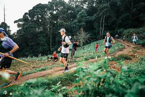 BIB: 
                            <button type="button" onclick="openModal(25415703)" class="btn btn-primary btn-sm float-right btn-popup" data-toggle="modal" data-target=".modal-high-quality">
                        <i class="fas fa-shopping-cart"></i> Add to Cart
                    </button>
                                            <button type="button" onclick="isThisMe(25415703, true)" class="btn btn-success btn-sm float-right btn-popup btn-isme hidden" data-toggle="tooltip" data-placement="bottom" title="นี่คือรูปของคุณใช่ไหม คลิกที่นี่เพื่อเอาเข้าอัลบั้ม">
                        <i class="fas fa-plus"></i> Add to album
                    </button>
                    <button type="button" onclick="isThisMe(25415703, false)" class="btn btn-warning btn-sm float-right btn-popup btn-isnotme hidden">
                        <i class="fas fa-ban"></i> Remove from album
                    </button>