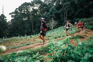 BIB: 
                            <button type="button" onclick="openModal(25419619)" class="btn btn-primary btn-sm float-right btn-popup" data-toggle="modal" data-target=".modal-high-quality">
                        <i class="fas fa-shopping-cart"></i> Add to Cart
                    </button>
                                            <button type="button" onclick="isThisMe(25419619, true)" class="btn btn-success btn-sm float-right btn-popup btn-isme hidden" data-toggle="tooltip" data-placement="bottom" title="นี่คือรูปของคุณใช่ไหม คลิกที่นี่เพื่อเอาเข้าอัลบั้ม">
                        <i class="fas fa-plus"></i> Add to album
                    </button>
                    <button type="button" onclick="isThisMe(25419619, false)" class="btn btn-warning btn-sm float-right btn-popup btn-isnotme hidden">
                        <i class="fas fa-ban"></i> Remove from album
                    </button>