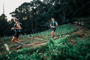 BIB: 
                            <button type="button" onclick="openModal(25366029)" class="btn btn-primary btn-sm float-right btn-popup" data-toggle="modal" data-target=".modal-high-quality">
                        <i class="fas fa-shopping-cart"></i> Add to Cart
                    </button>
                                            <button type="button" onclick="isThisMe(25366029, true)" class="btn btn-success btn-sm float-right btn-popup btn-isme hidden" data-toggle="tooltip" data-placement="bottom" title="นี่คือรูปของคุณใช่ไหม คลิกที่นี่เพื่อเอาเข้าอัลบั้ม">
                        <i class="fas fa-plus"></i> Add to album
                    </button>
                    <button type="button" onclick="isThisMe(25366029, false)" class="btn btn-warning btn-sm float-right btn-popup btn-isnotme hidden">
                        <i class="fas fa-ban"></i> Remove from album
                    </button>