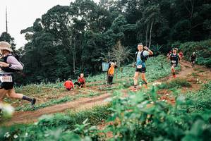 BIB: 
                            <button type="button" onclick="openModal(25419290)" class="btn btn-primary btn-sm float-right btn-popup" data-toggle="modal" data-target=".modal-high-quality">
                        <i class="fas fa-shopping-cart"></i> Add to Cart
                    </button>
                                            <button type="button" onclick="isThisMe(25419290, true)" class="btn btn-success btn-sm float-right btn-popup btn-isme hidden" data-toggle="tooltip" data-placement="bottom" title="นี่คือรูปของคุณใช่ไหม คลิกที่นี่เพื่อเอาเข้าอัลบั้ม">
                        <i class="fas fa-plus"></i> Add to album
                    </button>
                    <button type="button" onclick="isThisMe(25419290, false)" class="btn btn-warning btn-sm float-right btn-popup btn-isnotme hidden">
                        <i class="fas fa-ban"></i> Remove from album
                    </button>