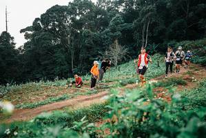 BIB: 
                            <button type="button" onclick="openModal(25415665)" class="btn btn-primary btn-sm float-right btn-popup" data-toggle="modal" data-target=".modal-high-quality">
                        <i class="fas fa-shopping-cart"></i> Add to Cart
                    </button>
                                            <button type="button" onclick="isThisMe(25415665, true)" class="btn btn-success btn-sm float-right btn-popup btn-isme hidden" data-toggle="tooltip" data-placement="bottom" title="นี่คือรูปของคุณใช่ไหม คลิกที่นี่เพื่อเอาเข้าอัลบั้ม">
                        <i class="fas fa-plus"></i> Add to album
                    </button>
                    <button type="button" onclick="isThisMe(25415665, false)" class="btn btn-warning btn-sm float-right btn-popup btn-isnotme hidden">
                        <i class="fas fa-ban"></i> Remove from album
                    </button>