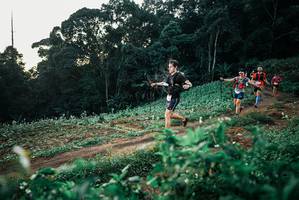 BIB: 
                            <button type="button" onclick="openModal(25366150)" class="btn btn-primary btn-sm float-right btn-popup" data-toggle="modal" data-target=".modal-high-quality">
                        <i class="fas fa-shopping-cart"></i> Add to Cart
                    </button>
                                            <button type="button" onclick="isThisMe(25366150, true)" class="btn btn-success btn-sm float-right btn-popup btn-isme hidden" data-toggle="tooltip" data-placement="bottom" title="นี่คือรูปของคุณใช่ไหม คลิกที่นี่เพื่อเอาเข้าอัลบั้ม">
                        <i class="fas fa-plus"></i> Add to album
                    </button>
                    <button type="button" onclick="isThisMe(25366150, false)" class="btn btn-warning btn-sm float-right btn-popup btn-isnotme hidden">
                        <i class="fas fa-ban"></i> Remove from album
                    </button>