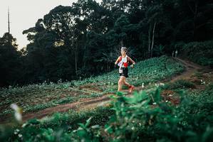 BIB: 
                            <button type="button" onclick="openModal(25365818)" class="btn btn-primary btn-sm float-right btn-popup" data-toggle="modal" data-target=".modal-high-quality">
                        <i class="fas fa-shopping-cart"></i> Add to Cart
                    </button>
                                            <button type="button" onclick="isThisMe(25365818, true)" class="btn btn-success btn-sm float-right btn-popup btn-isme hidden" data-toggle="tooltip" data-placement="bottom" title="นี่คือรูปของคุณใช่ไหม คลิกที่นี่เพื่อเอาเข้าอัลบั้ม">
                        <i class="fas fa-plus"></i> Add to album
                    </button>
                    <button type="button" onclick="isThisMe(25365818, false)" class="btn btn-warning btn-sm float-right btn-popup btn-isnotme hidden">
                        <i class="fas fa-ban"></i> Remove from album
                    </button>