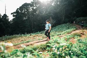 BIB: 
                            <button type="button" onclick="openModal(25427200)" class="btn btn-primary btn-sm float-right btn-popup" data-toggle="modal" data-target=".modal-high-quality">
                        <i class="fas fa-shopping-cart"></i> Add to Cart
                    </button>
                                            <button type="button" onclick="isThisMe(25427200, true)" class="btn btn-success btn-sm float-right btn-popup btn-isme hidden" data-toggle="tooltip" data-placement="bottom" title="นี่คือรูปของคุณใช่ไหม คลิกที่นี่เพื่อเอาเข้าอัลบั้ม">
                        <i class="fas fa-plus"></i> Add to album
                    </button>
                    <button type="button" onclick="isThisMe(25427200, false)" class="btn btn-warning btn-sm float-right btn-popup btn-isnotme hidden">
                        <i class="fas fa-ban"></i> Remove from album
                    </button>