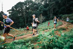 BIB: 
                            <button type="button" onclick="openModal(25415707)" class="btn btn-primary btn-sm float-right btn-popup" data-toggle="modal" data-target=".modal-high-quality">
                        <i class="fas fa-shopping-cart"></i> Add to Cart
                    </button>
                                            <button type="button" onclick="isThisMe(25415707, true)" class="btn btn-success btn-sm float-right btn-popup btn-isme hidden" data-toggle="tooltip" data-placement="bottom" title="นี่คือรูปของคุณใช่ไหม คลิกที่นี่เพื่อเอาเข้าอัลบั้ม">
                        <i class="fas fa-plus"></i> Add to album
                    </button>
                    <button type="button" onclick="isThisMe(25415707, false)" class="btn btn-warning btn-sm float-right btn-popup btn-isnotme hidden">
                        <i class="fas fa-ban"></i> Remove from album
                    </button>