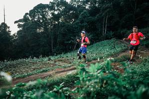 BIB: 
                            <button type="button" onclick="openModal(25367307)" class="btn btn-primary btn-sm float-right btn-popup" data-toggle="modal" data-target=".modal-high-quality">
                        <i class="fas fa-shopping-cart"></i> Add to Cart
                    </button>
                                            <button type="button" onclick="isThisMe(25367307, true)" class="btn btn-success btn-sm float-right btn-popup btn-isme hidden" data-toggle="tooltip" data-placement="bottom" title="นี่คือรูปของคุณใช่ไหม คลิกที่นี่เพื่อเอาเข้าอัลบั้ม">
                        <i class="fas fa-plus"></i> Add to album
                    </button>
                    <button type="button" onclick="isThisMe(25367307, false)" class="btn btn-warning btn-sm float-right btn-popup btn-isnotme hidden">
                        <i class="fas fa-ban"></i> Remove from album
                    </button>