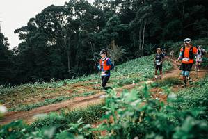 BIB: 
                            <button type="button" onclick="openModal(25421030)" class="btn btn-primary btn-sm float-right btn-popup" data-toggle="modal" data-target=".modal-high-quality">
                        <i class="fas fa-shopping-cart"></i> Add to Cart
                    </button>
                                            <button type="button" onclick="isThisMe(25421030, true)" class="btn btn-success btn-sm float-right btn-popup btn-isme hidden" data-toggle="tooltip" data-placement="bottom" title="นี่คือรูปของคุณใช่ไหม คลิกที่นี่เพื่อเอาเข้าอัลบั้ม">
                        <i class="fas fa-plus"></i> Add to album
                    </button>
                    <button type="button" onclick="isThisMe(25421030, false)" class="btn btn-warning btn-sm float-right btn-popup btn-isnotme hidden">
                        <i class="fas fa-ban"></i> Remove from album
                    </button>