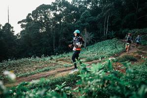 BIB: 
                            <button type="button" onclick="openModal(25367811)" class="btn btn-primary btn-sm float-right btn-popup" data-toggle="modal" data-target=".modal-high-quality">
                        <i class="fas fa-shopping-cart"></i> Add to Cart
                    </button>
                                            <button type="button" onclick="isThisMe(25367811, true)" class="btn btn-success btn-sm float-right btn-popup btn-isme hidden" data-toggle="tooltip" data-placement="bottom" title="นี่คือรูปของคุณใช่ไหม คลิกที่นี่เพื่อเอาเข้าอัลบั้ม">
                        <i class="fas fa-plus"></i> Add to album
                    </button>
                    <button type="button" onclick="isThisMe(25367811, false)" class="btn btn-warning btn-sm float-right btn-popup btn-isnotme hidden">
                        <i class="fas fa-ban"></i> Remove from album
                    </button>