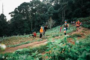 BIB: 
                            <button type="button" onclick="openModal(25415595)" class="btn btn-primary btn-sm float-right btn-popup" data-toggle="modal" data-target=".modal-high-quality">
                        <i class="fas fa-shopping-cart"></i> Add to Cart
                    </button>
                                            <button type="button" onclick="isThisMe(25415595, true)" class="btn btn-success btn-sm float-right btn-popup btn-isme hidden" data-toggle="tooltip" data-placement="bottom" title="นี่คือรูปของคุณใช่ไหม คลิกที่นี่เพื่อเอาเข้าอัลบั้ม">
                        <i class="fas fa-plus"></i> Add to album
                    </button>
                    <button type="button" onclick="isThisMe(25415595, false)" class="btn btn-warning btn-sm float-right btn-popup btn-isnotme hidden">
                        <i class="fas fa-ban"></i> Remove from album
                    </button>